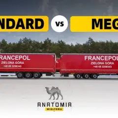 Naczepa Mega vs Standard: Kluczowe różnice i wybór dla Twojej firmy