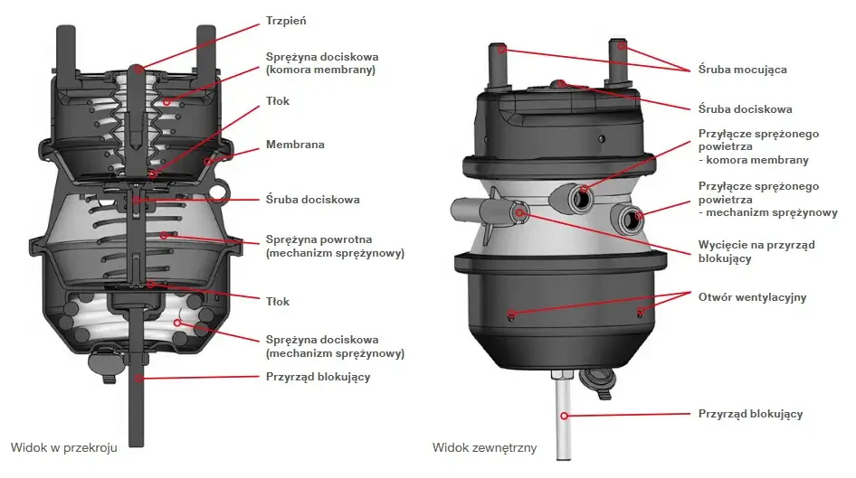 diagram siłownika hamulcowego naczepy