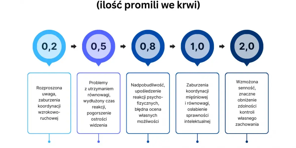 Polskie limity alkoholu we krwi infografika