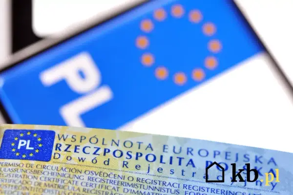 Ile kosztuje przerejestrowanie auta? Sprawdź wszystkie opłaty!